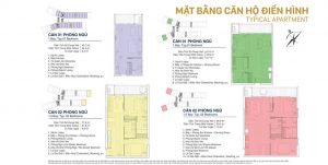 Mặt bằng căn hộ điển hình FLC Sea Tower Quy Nhơn