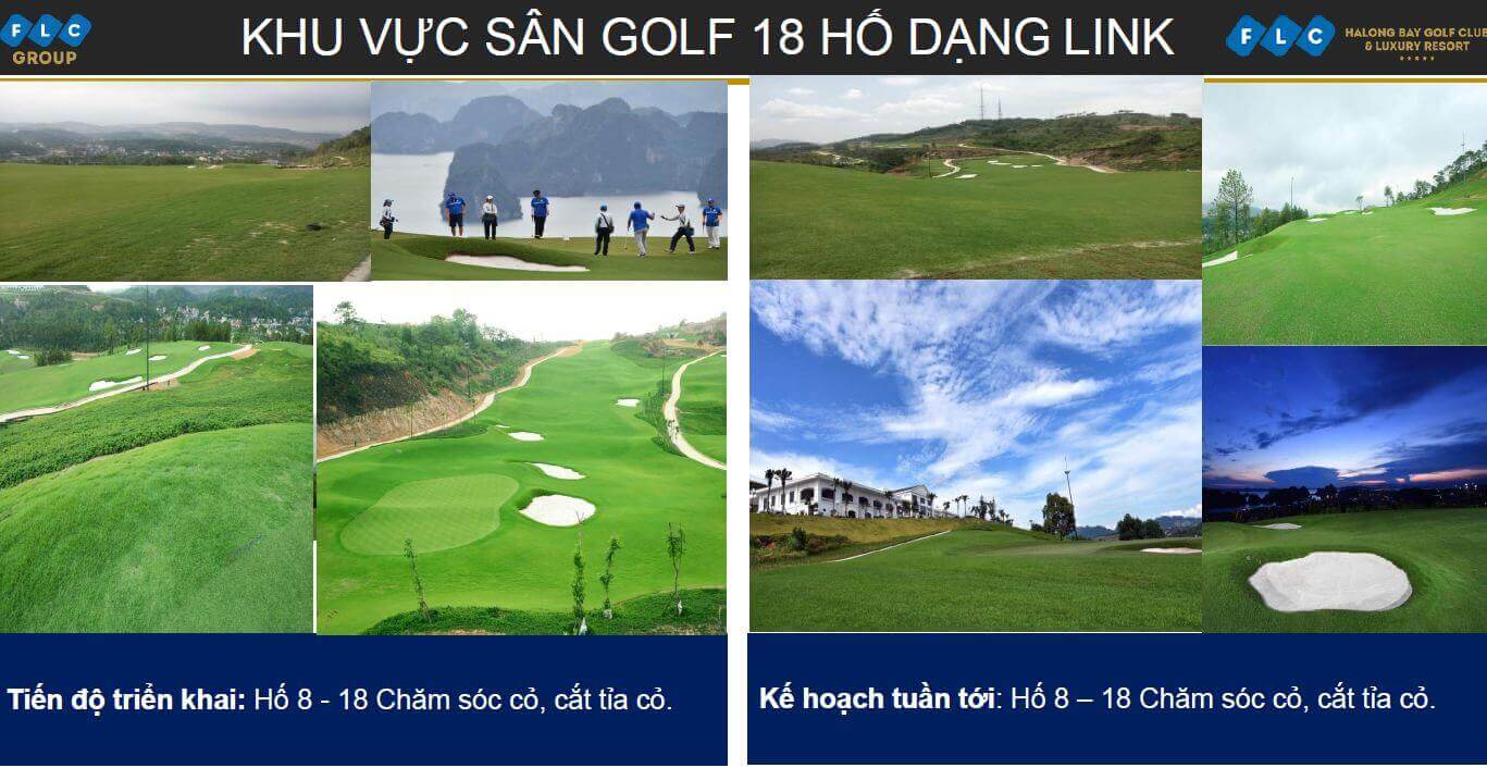 sân golf 18 hố dạng link dự án FLC Hạ Long