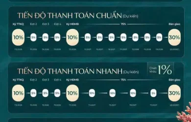 csbh imperia holiday the bayside